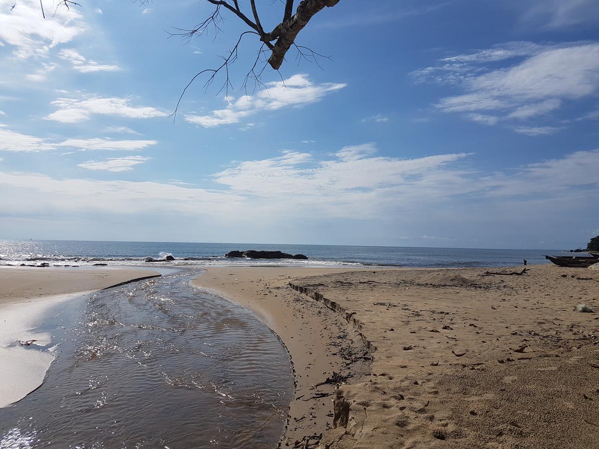 Eden Lodge كريبي المظهر الخارجي الصورة
